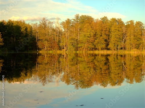 jezior, jesienią, woda, krajobraz, pora roku, złota, drzew, 