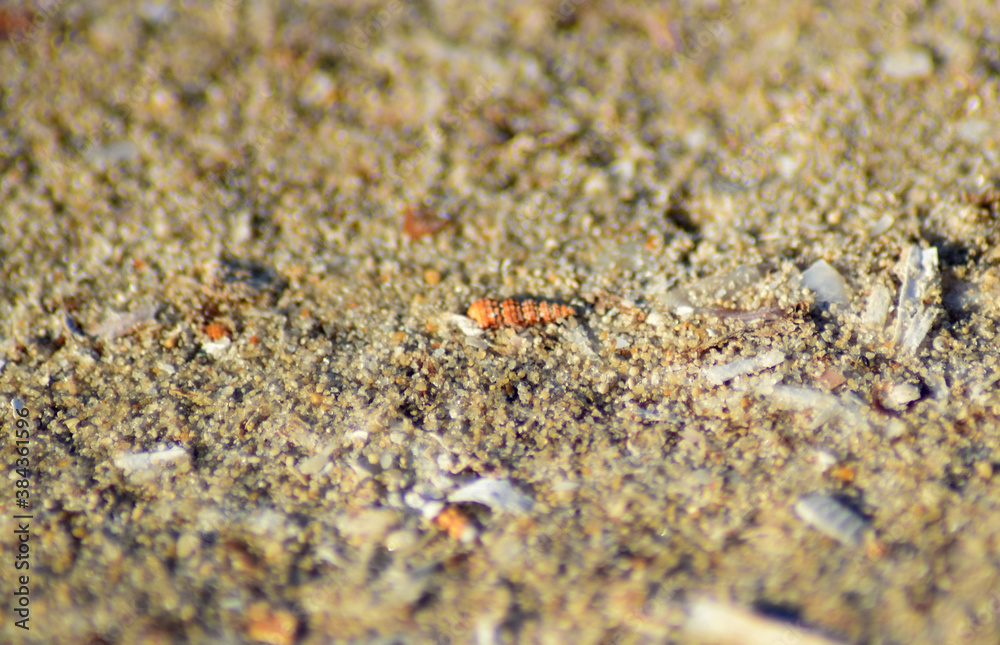 texture of sand texture of sand