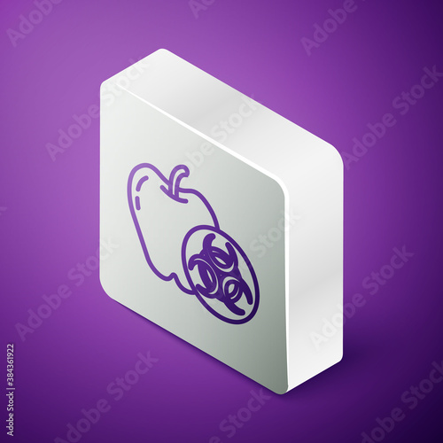 Isometric line Genetically modified apple icon isolated on purple background. GMO fruit. Silver square button. Vector.