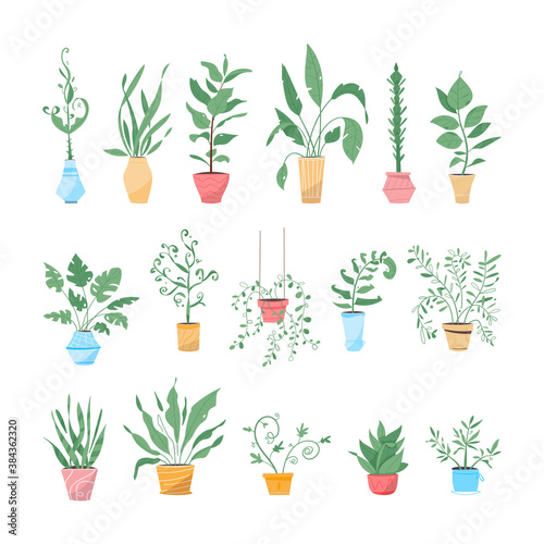 Potting trees, flowerpots hanging, plants in pots set isolated objects