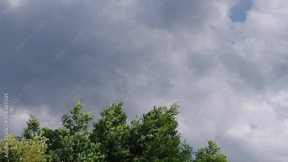 Strong wind blowing over the trees. Slow motion Strong wind blowing over the trees. Slow motion