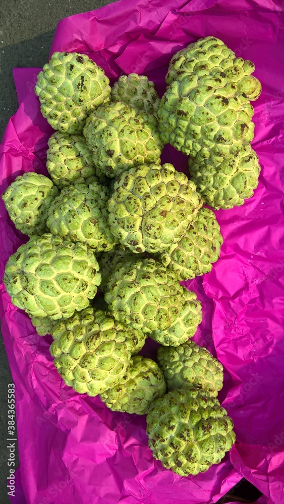 Fototapeta premium View of sugar apple or sweetsop also known as custard apple or Sitaphal