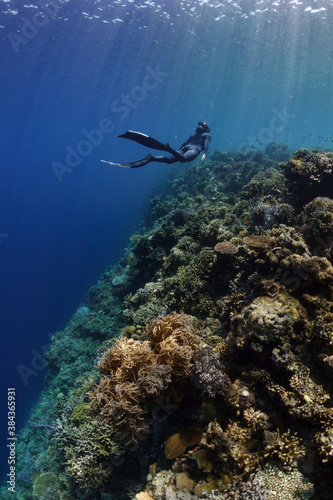 A female freediver is exploring a tropical coral reef.