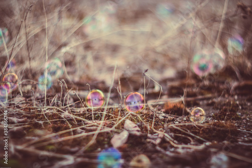 Bubble. Photographed with a Soviet manual lens Helios 40
