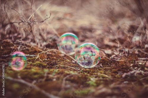 Bubble. Photographed with a Soviet manual lens Helios 40
