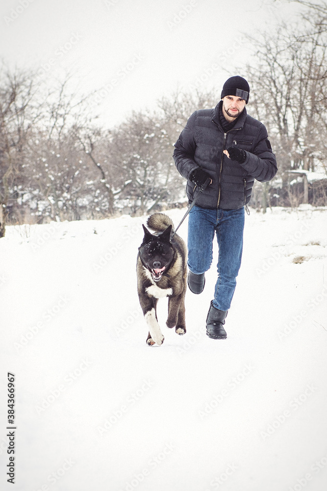 A man in a jacket and a knitted hat walks with an American Akita dog
