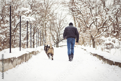 A man in a jacket and a knitted hat walks with an American Akita dog