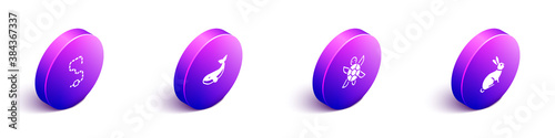 Set Isometric Worm, Whale, Turtle and Rabbit icon. Vector.
