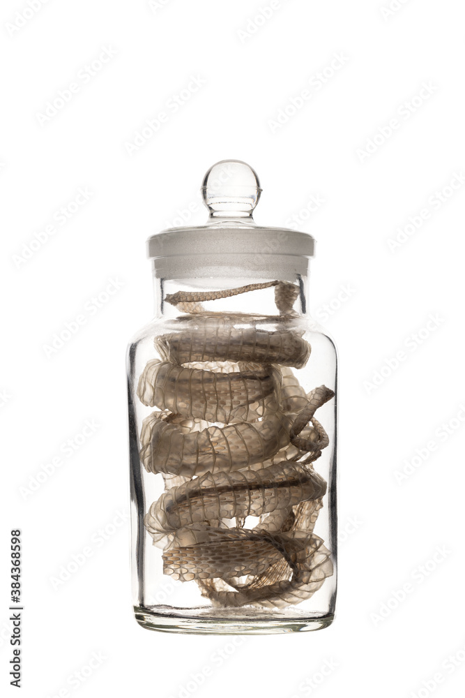 Snakeskin in a glass jar. Snake molting isolated on white background. Alchemy and witchcraft concept. Snakeskin in a glass jar. Snake molting isolated on white background. Alchemy and witchcraft concept.