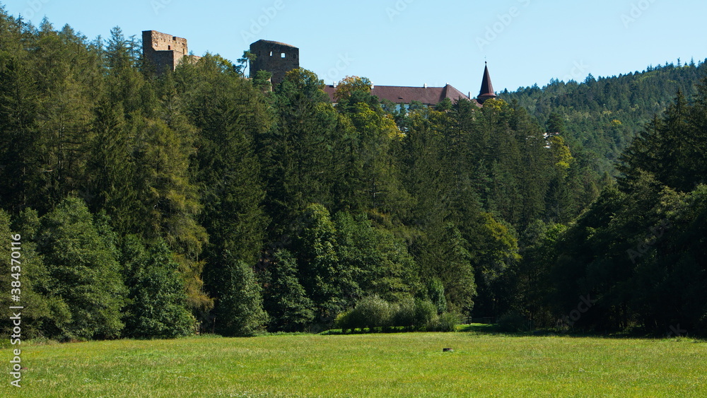 Castle Velhartice in Plzeň Region,Czech republic,Europe
