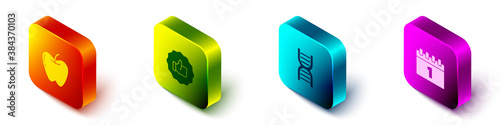 Set Isometric Apple, Hand thumb up, DNA symbol and Calendar first september date icon. Vector.