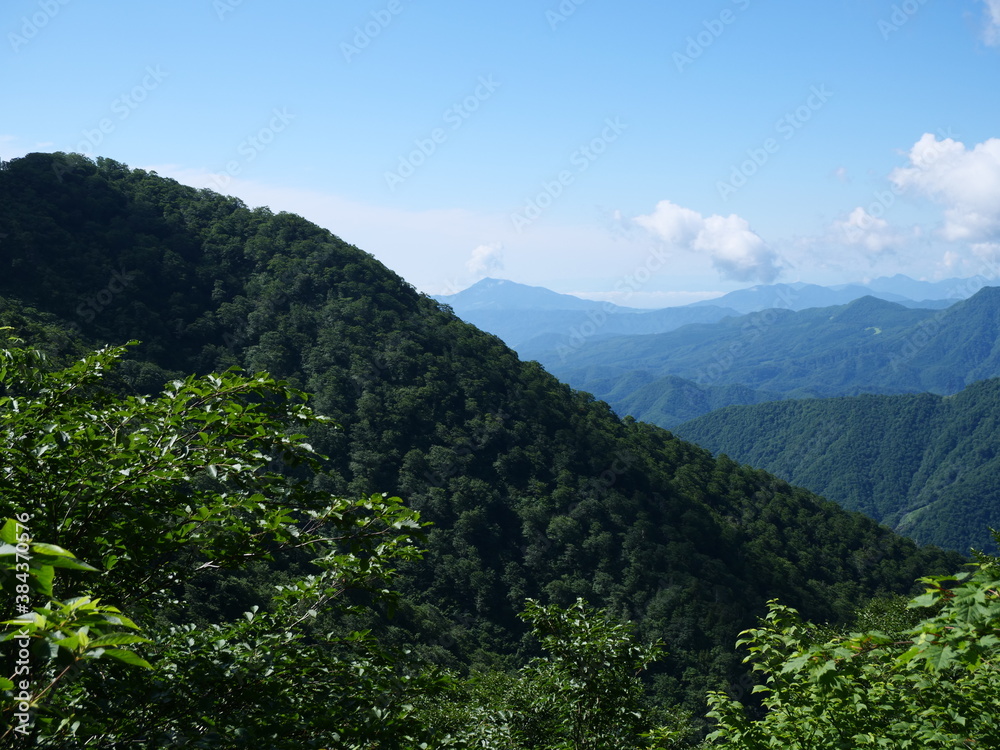 Fototapeta premium 谷川岳の天神尾根の登山道