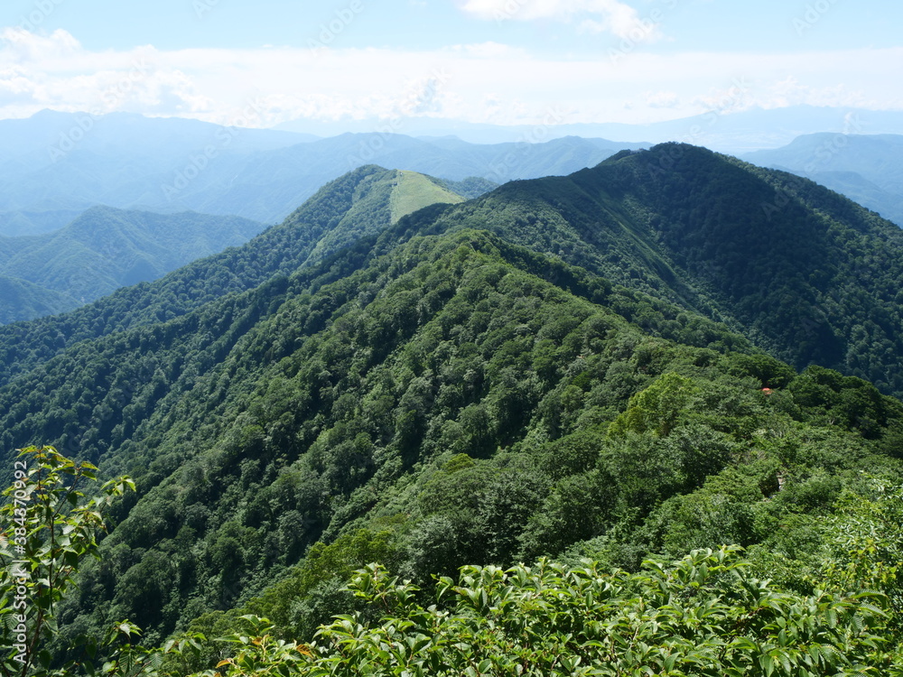 Naklejka premium 谷川岳の天神尾根の登山道