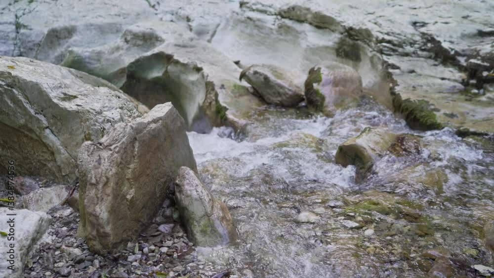 The river flows fast among stones and plants and creates foam. The rapid flow of river in the forest. Picturesque landscape. A picturesque mountain river among the rocks. The river flows fast among stones and plants and creates foam. The rapid flow of river in the forest. Picturesque landscape. A picturesque mountain river among the rocks.