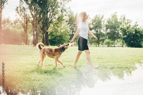 Pretty young lady in white t-shirt plays with grey fluffy dog using plate on lush green lawn grass in sunny summer park,