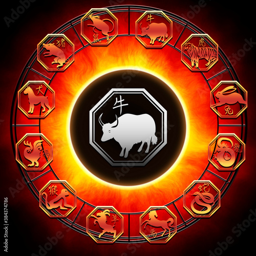 China chineses astrology with zodiac of all chinese signs  with ox in the center like the symbol of 2021 year of ox photo