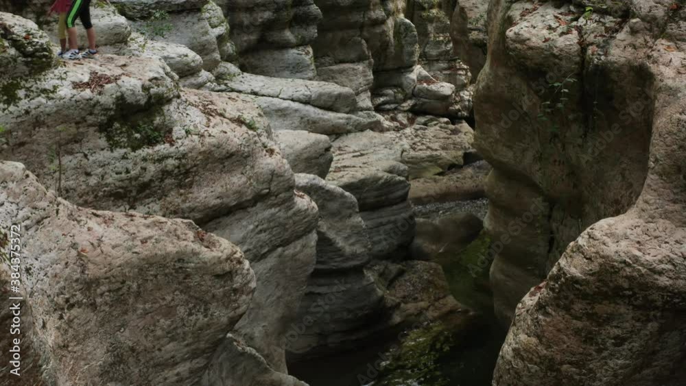 The river flows fast among stones and plants and creates foam. The rapid flow of river in the forest. Picturesque landscape. A picturesque mountain river among the rocks. The river flows fast among stones and plants and creates foam. The rapid flow of river in the forest. Picturesque landscape. A picturesque mountain river among the rocks.