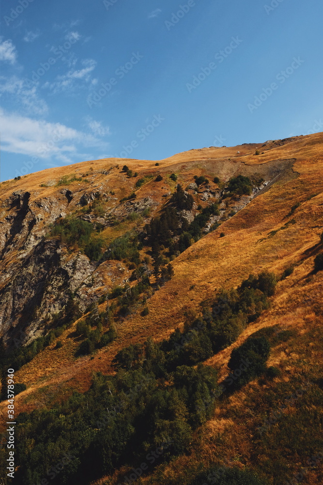 Obraz premium hill view. grassy mountainside. rise in height