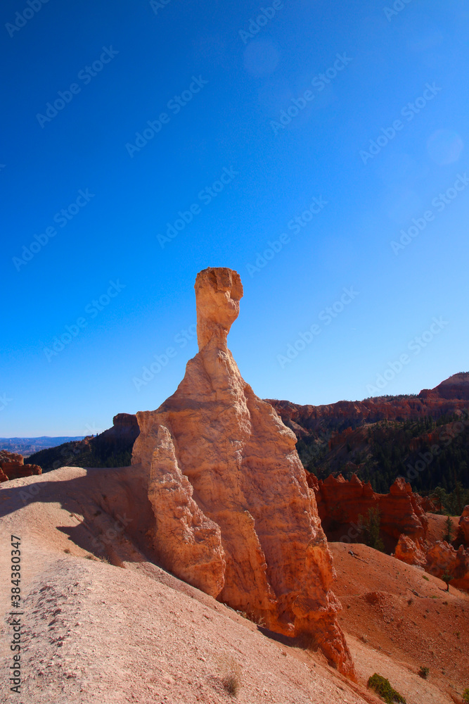 Bryce Canyon National Park, Utah, United States fantastic red hoodoos and bright light