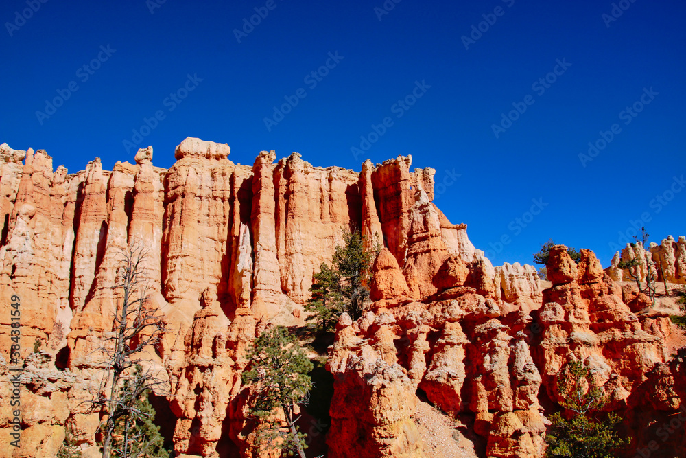 Bryce Canyon National Park, Utah, United States fantastic red hoodoos and bright light