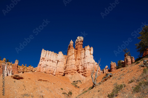 Bryce Canyon National Park, Utah, United States fantastic red hoodoos and bright light