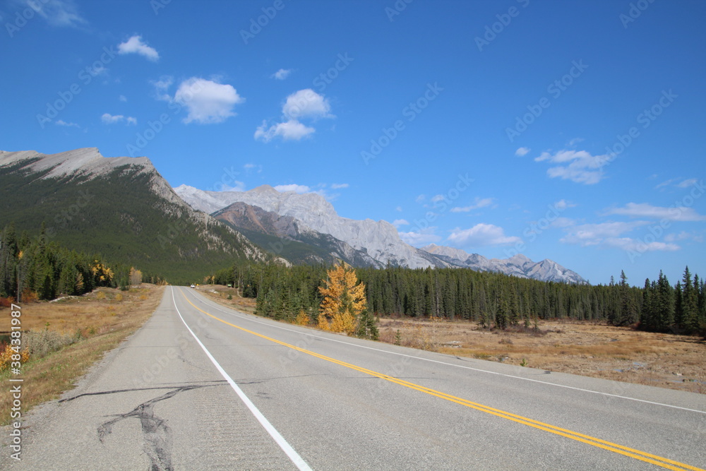 Fototapeta premium Autumn Along The Highway, Nordegg, Alberta