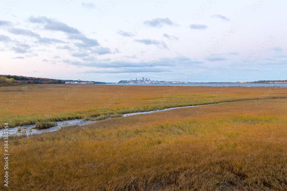 Golden grasses at low tide on the Island of Orleans coast, with the Quebec City skyline in soft focus background, Quebec, Canada Golden grasses at low tide on the Island of Orleans coast, with the Quebec City skyline in soft focus background, Quebec, Canada