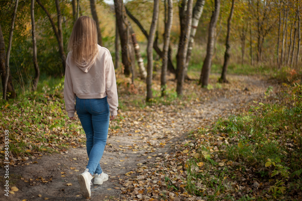 The girl walks through the autumn forest. A walk in the park in warm autumn. A girl in jeans and a hoodie walks along the path. 