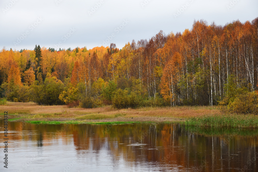 Autumn scenery. Karelia, Russia