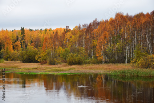 Fototapeta Naklejka Na Ścianę i Meble -  Autumn scenery. Karelia, Russia