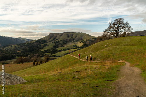 Hiking along a trail on the side of a grassy hill with a large tree and distance mountain under a mostly cloudy sky, Sunol Regional Park, California photo