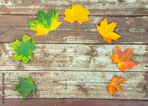 Obraz na plátně colorful autumn leaves on the old wooden background