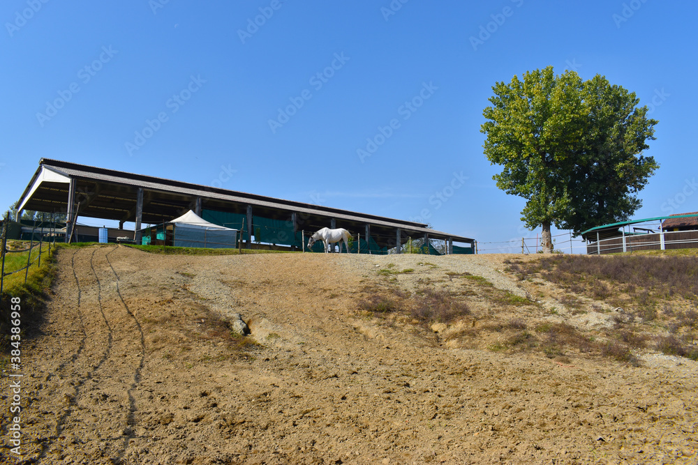view of a stable with racing horses