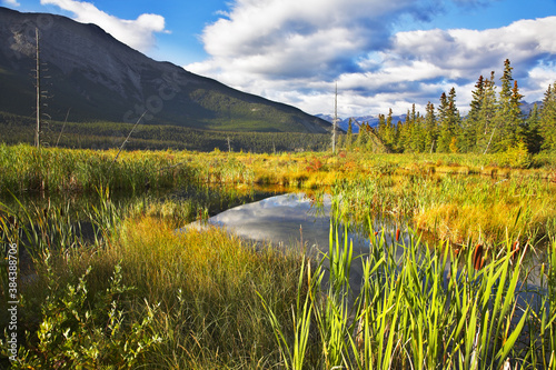 Mellow autumn in reserve of Northern Canada