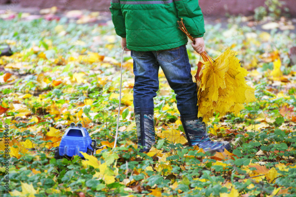 A boy stands with a bouquet of leaves. A boy stands with a bouquet of leaves.