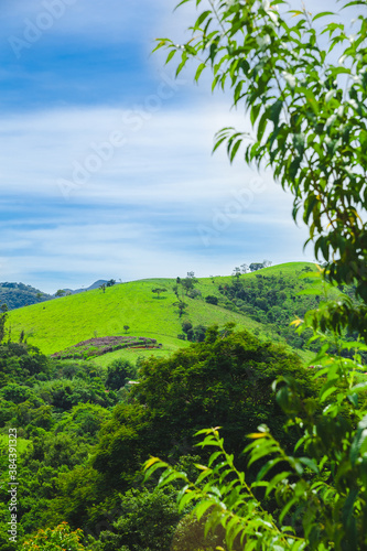 Green hill, sunny day, foreground nature and blue sky in Brazil vertical