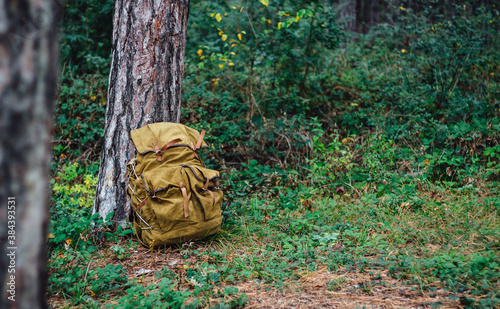 Old hunting bag or Travel backpack leaning against a tree on the forest floor. Travel, hiking and camping concept.