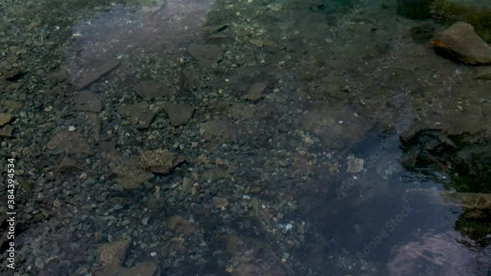 Panorama of a beautiful lake with clear water and unusual color. On a sunny summer day Panorama of a beautiful lake with clear water and unusual color. On a sunny summer day