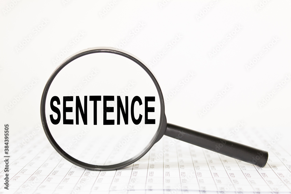 words SENTENCE in a magnifying glass on a white background. business concept words SENTENCE in a magnifying glass on a white background. business concept
