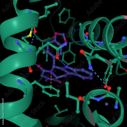 Structure of human phosphodiesterase 5 active center complexed with tadalafil (blue), a medicine for erectile dysfunction, 3D model, black background photo