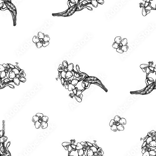 Seamless pattern with black and white milkweed photo