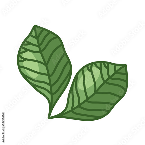 two leaves line and fill style icon vector design