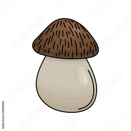 ISOLATED MUSHROOM ON A WHITE BACKGROUND
