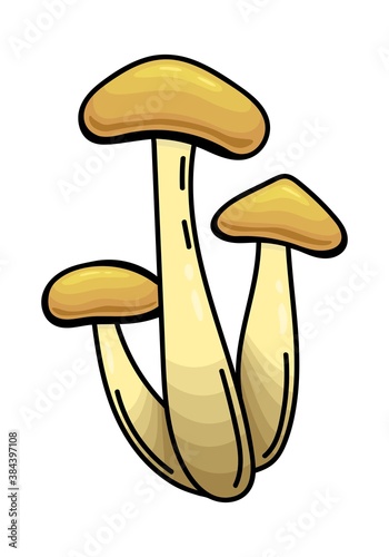 ISOLATED MUSHROOM ON A WHITE BACKGROUND
