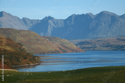 Rocky spectacular peaks of a mountain range and sea bay. Sheep grazing on the shore of the bay. Isle of Skye, Scotland © George