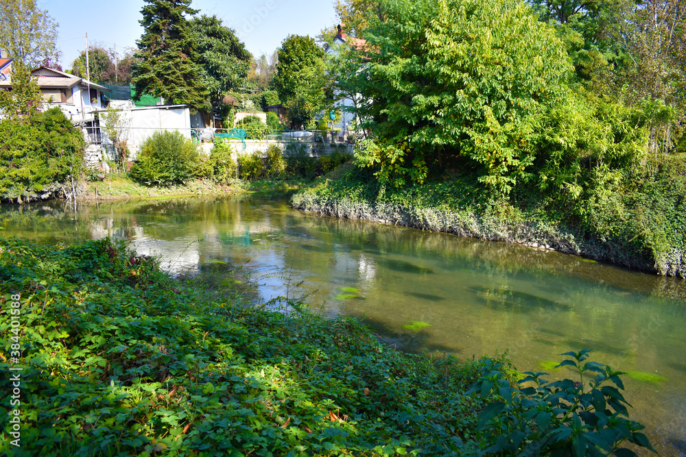 lake in the park