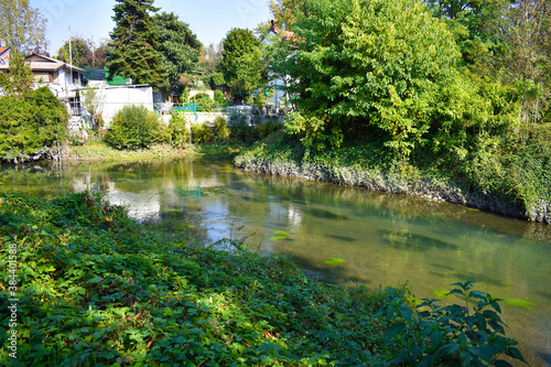 lake in the park