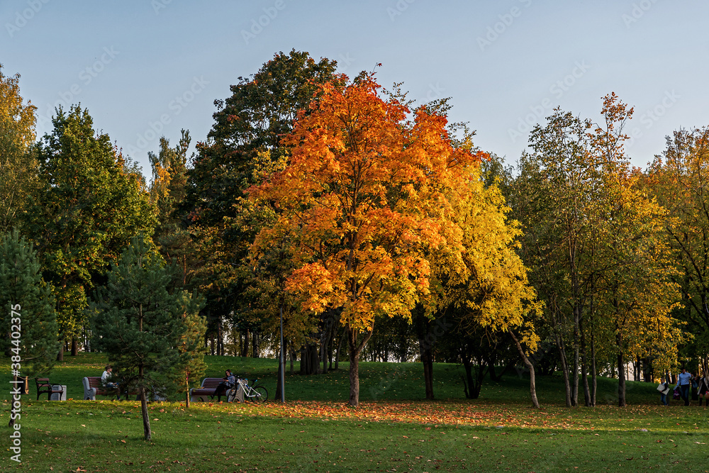 Autumn in the city Park. Pskov. Russia