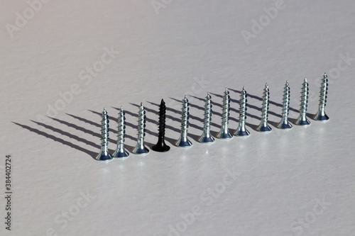 One black screw in a line of silver screws displaying equality