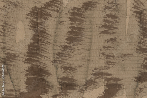 Wallpaper Mural Close up of a light brown vintage rough sheet of carton. Cardboard paper texture with a blank background. Empty papercraft surface. Recycled environmentally friendly material. Torontodigital.ca
